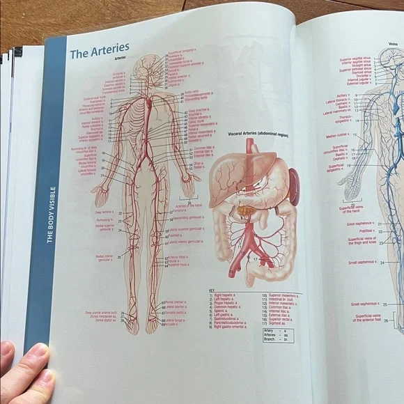 Human Body textbook - Picture 3 of 11